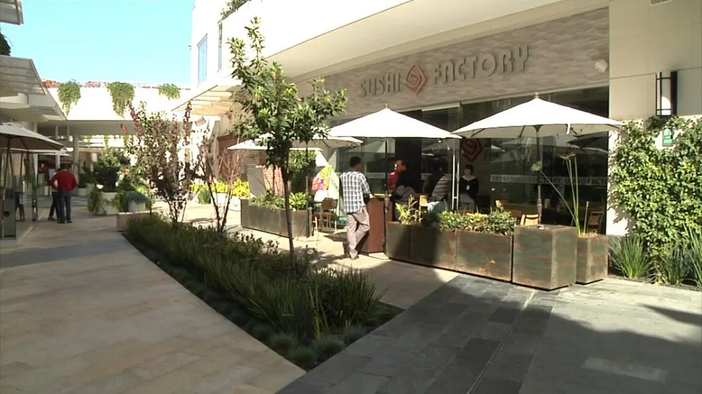 Proyecto Sushi Factory, Tijuana — cancelería y vidrio templado por KBS México